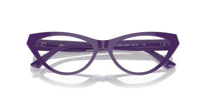 JIMMY CHOO JC3005 5050 55