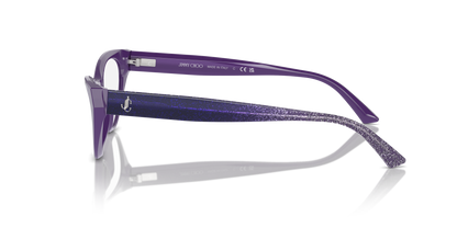 JIMMY CHOO JC3005 5050 53