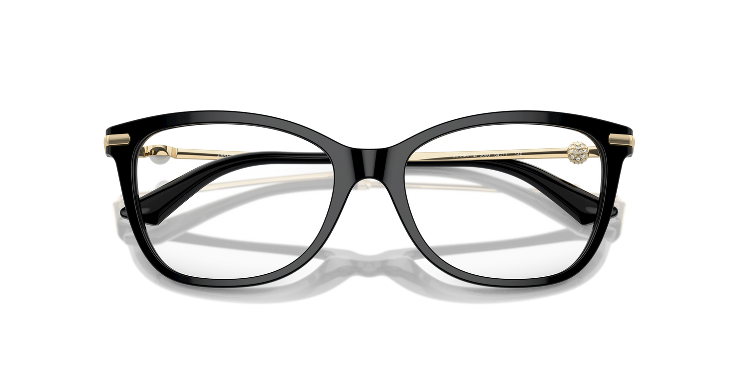 JIMMY CHOO JC3007HB 5000 52