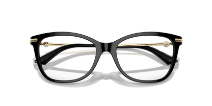 JIMMY CHOO JC3007HB 5000 54