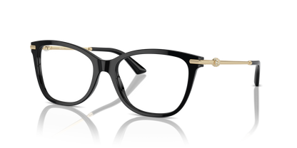 JIMMY CHOO JC3007HB 5000 52