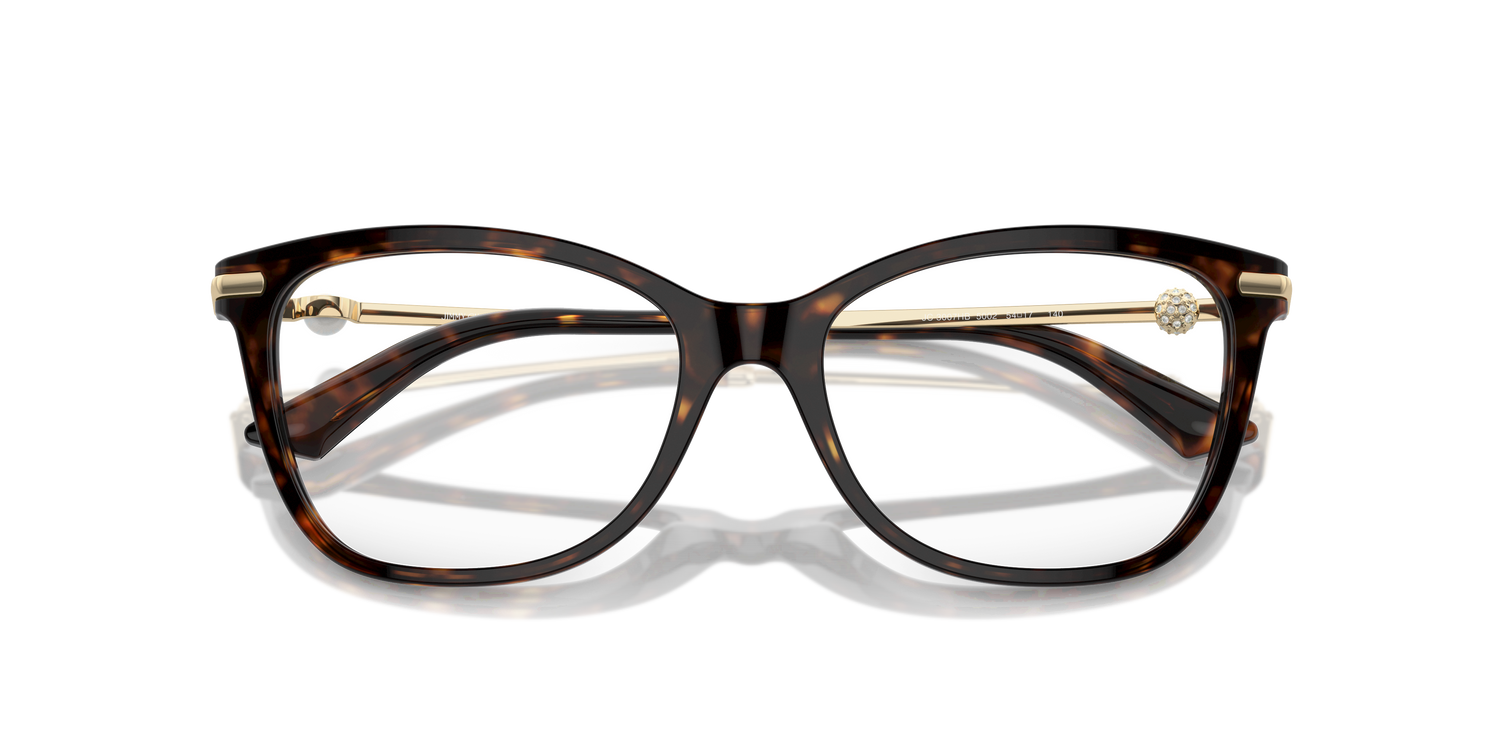 JIMMY CHOO JC3007HB 5002 52