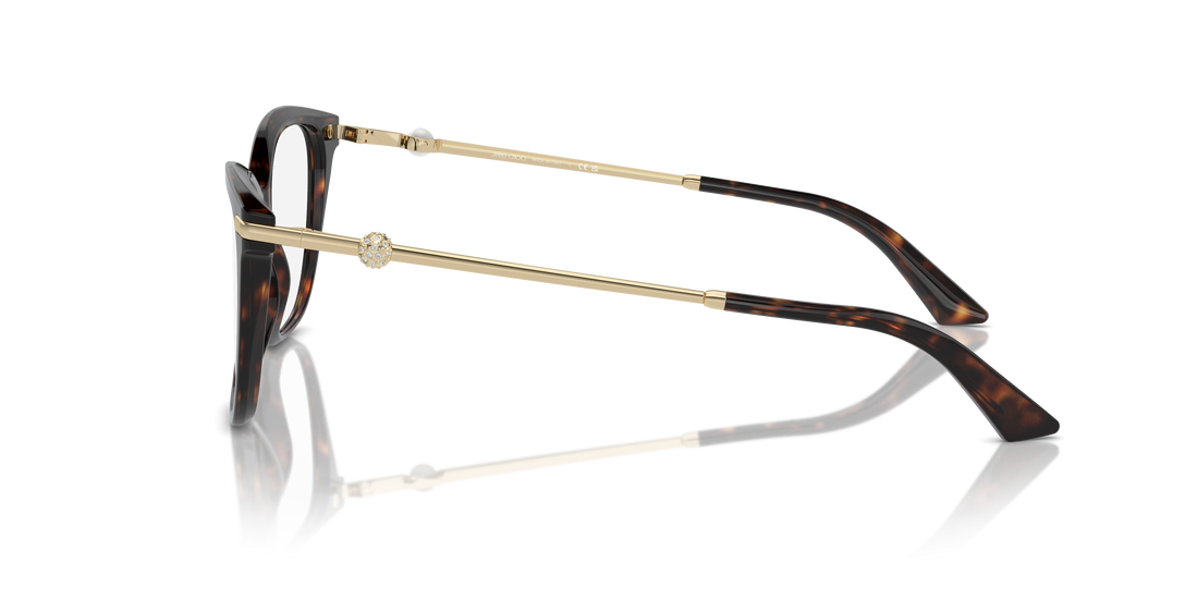 JIMMY CHOO JC3007HB 5002 54