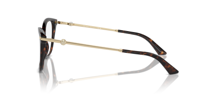 JIMMY CHOO JC3007HB 5002 54