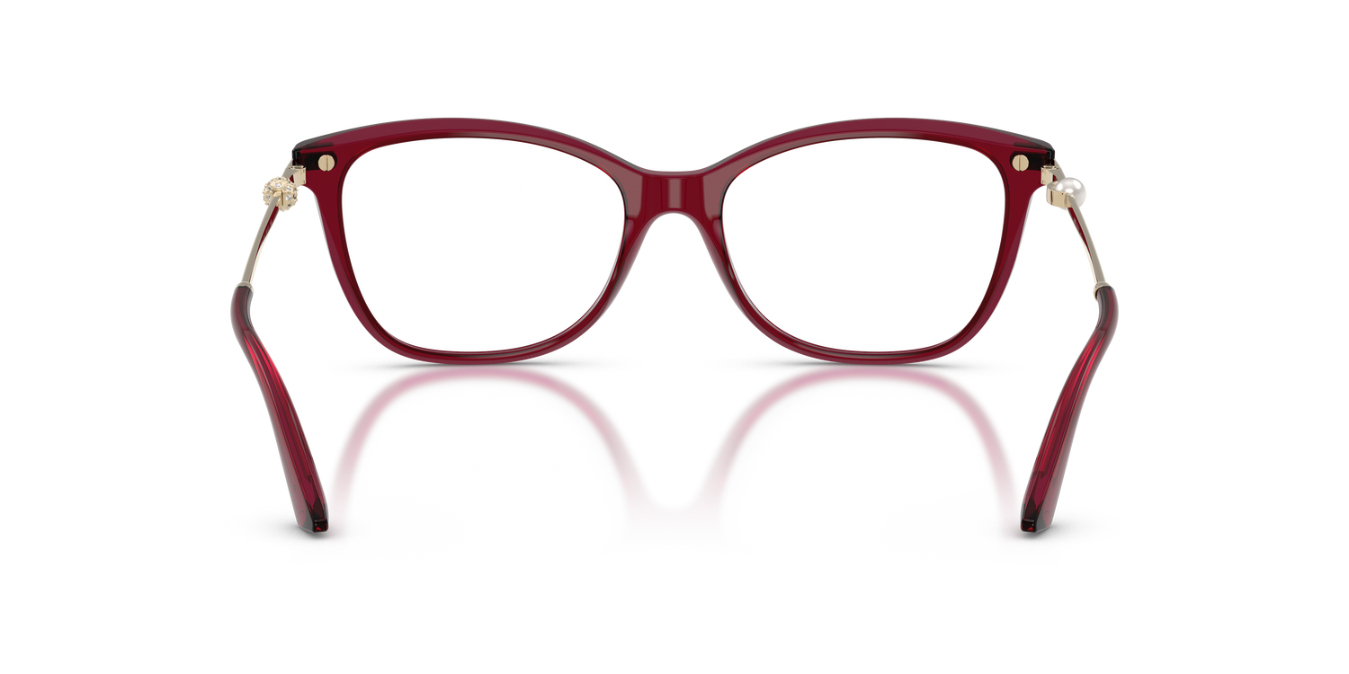 JIMMY CHOO JC3007HB 5062 54