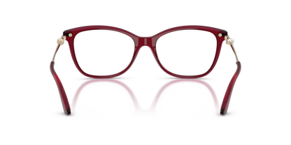 JIMMY CHOO JC3007HB 5062 54