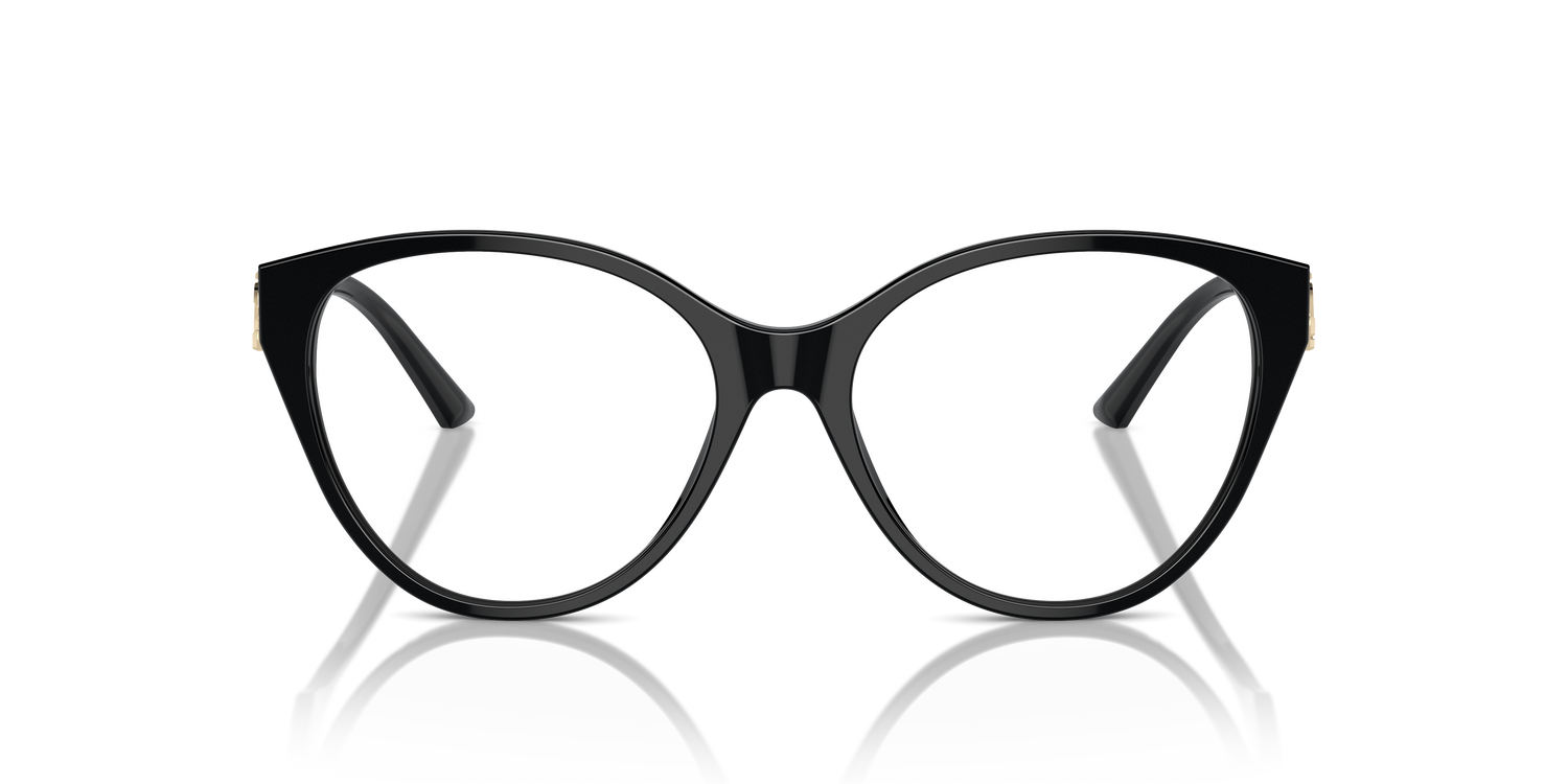 JIMMY CHOO JC3009 5000 54