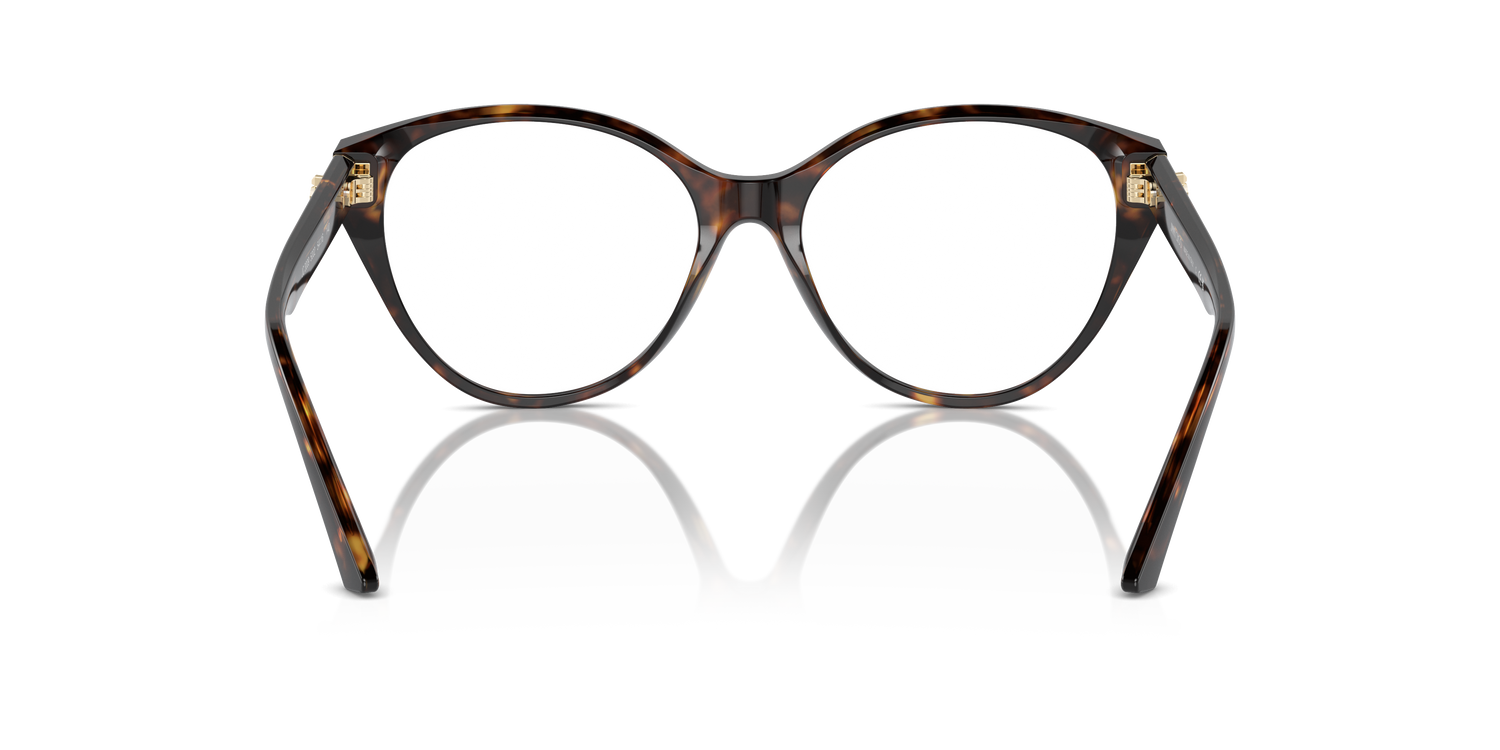 JIMMY CHOO JC3009 5002 54