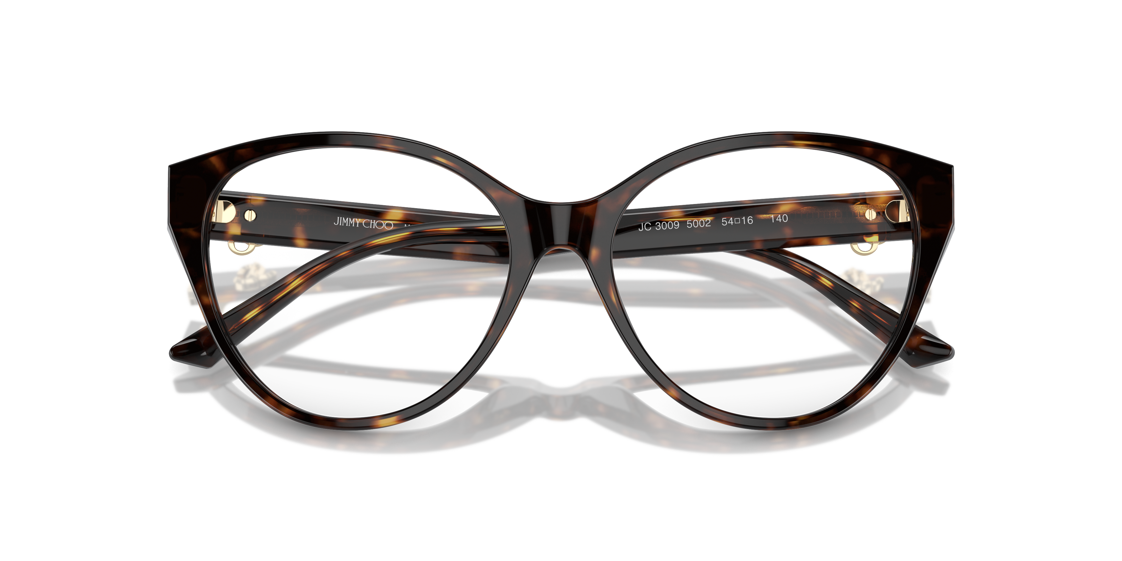 JIMMY CHOO JC3009 5002 54