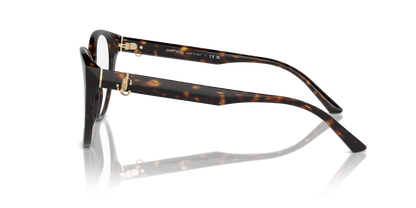 JIMMY CHOO JC3009 5002 52