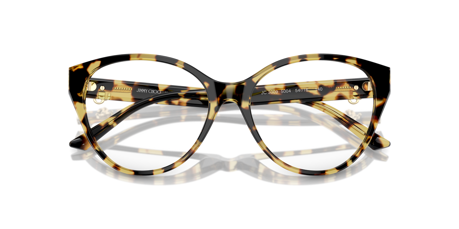 JIMMY CHOO JC3009 5004 54