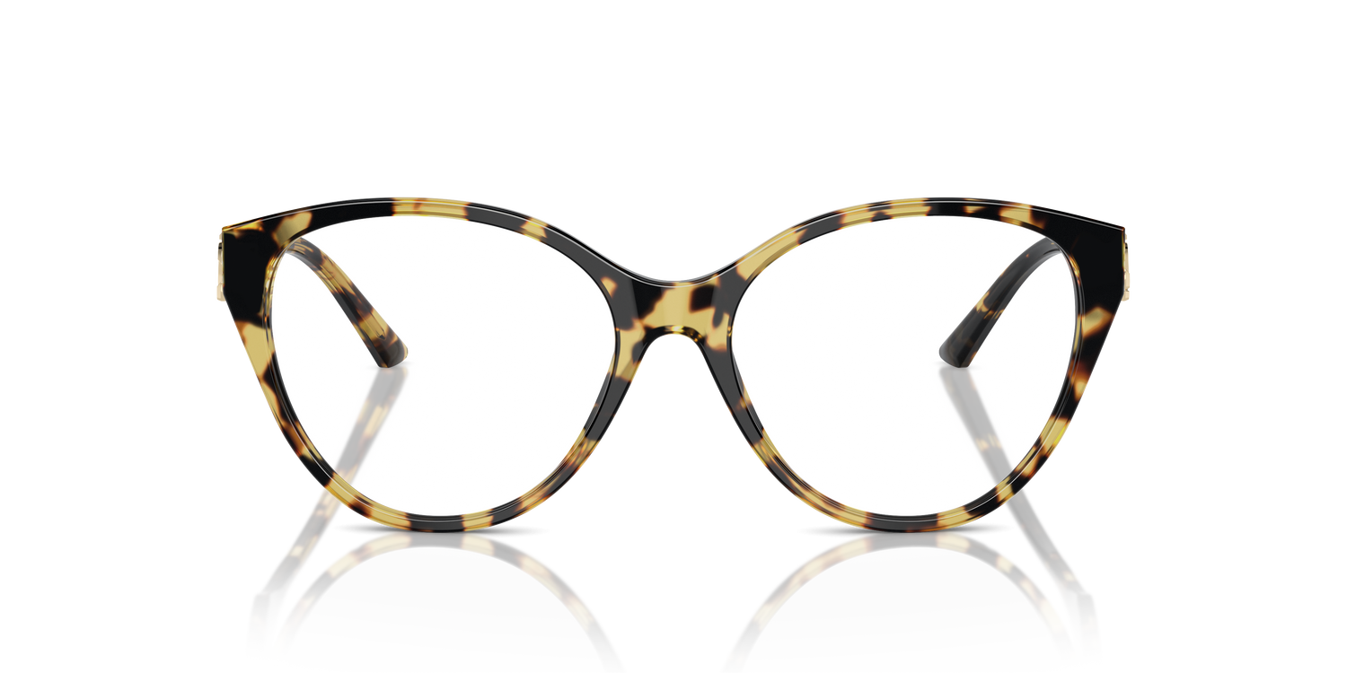 JIMMY CHOO JC3009 5004 52