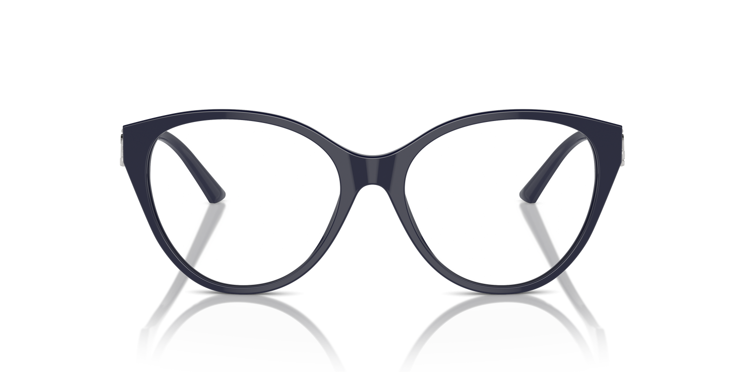 JIMMY CHOO JC3009 5016 54