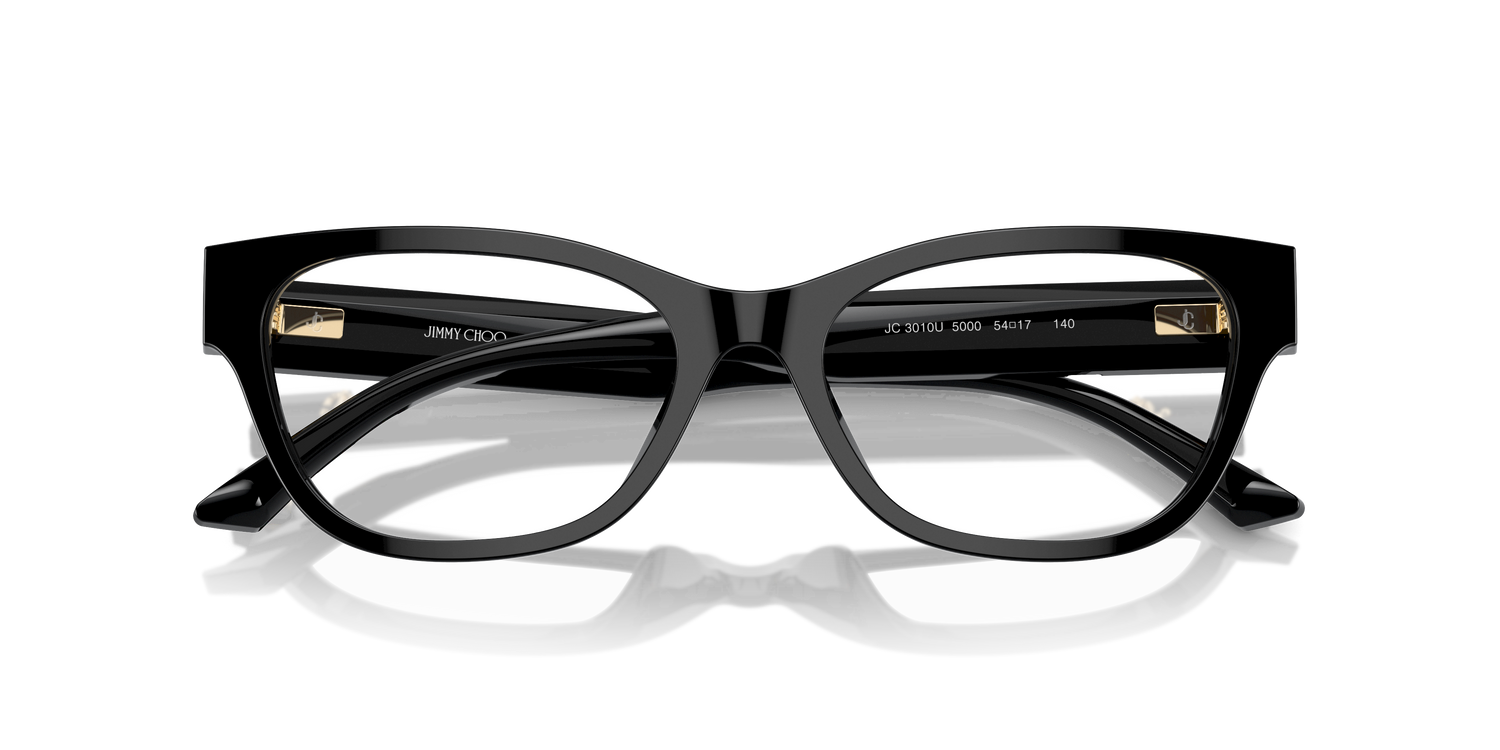 JIMMY CHOO JC3010U 5000 54