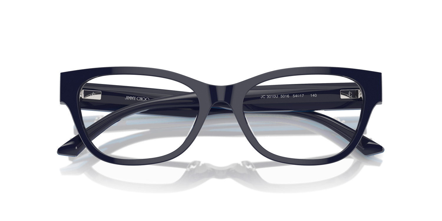 JIMMY CHOO JC3010U 5016 54