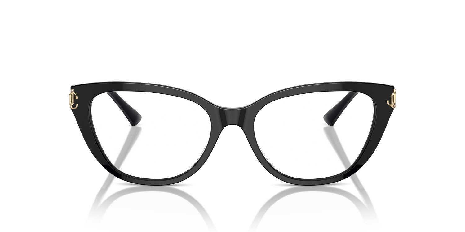 JIMMY CHOO JC3011 5000 54