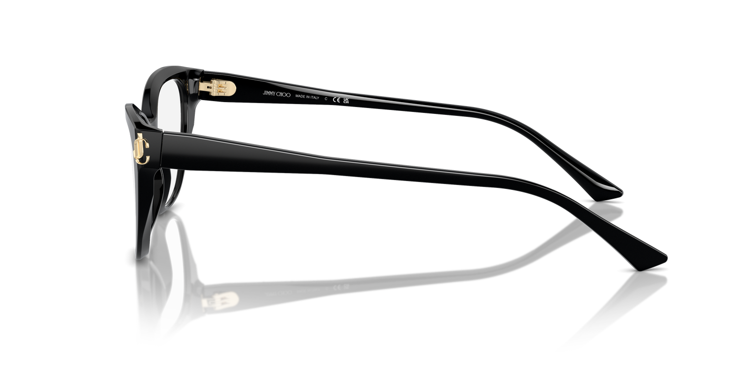 JIMMY CHOO JC3011 5000 54