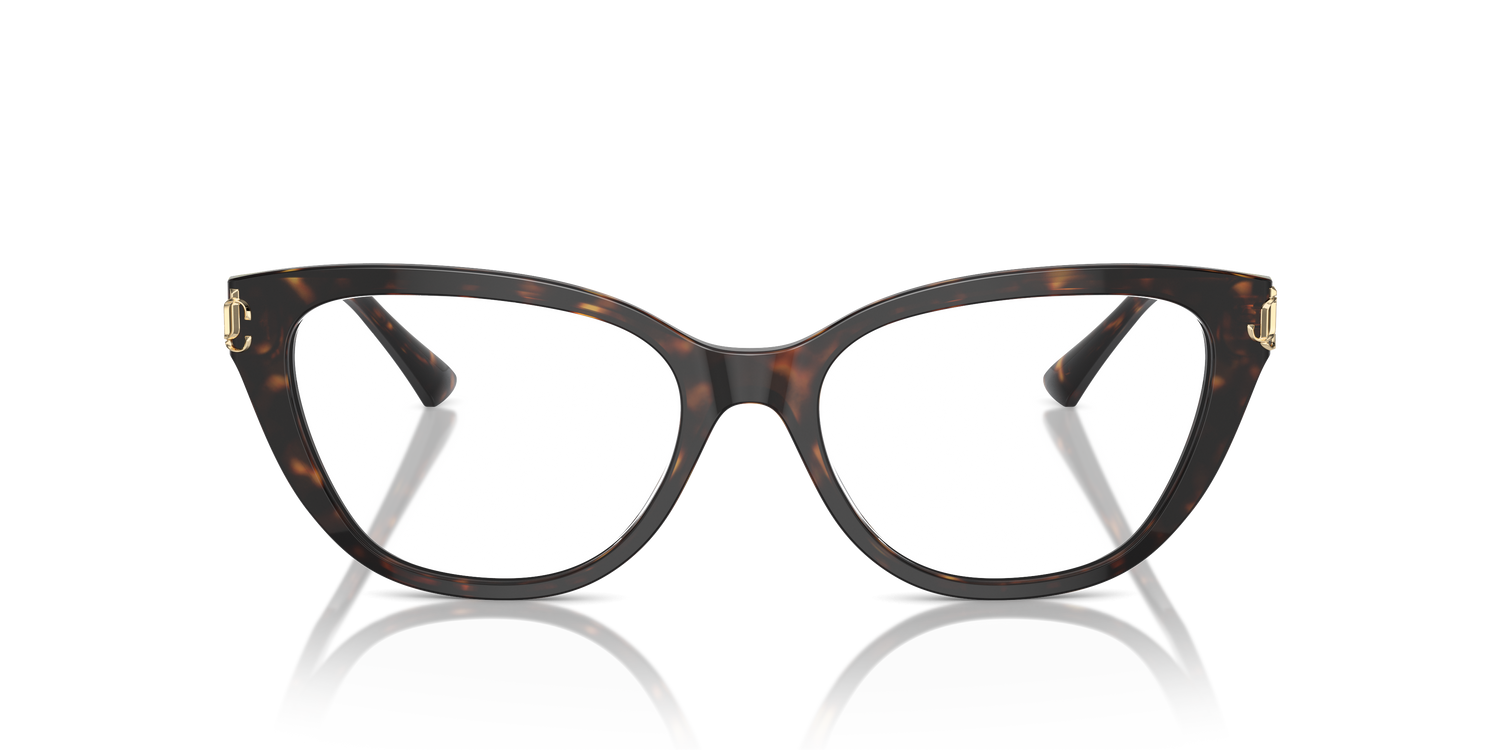 JIMMY CHOO JC3011 5002 52