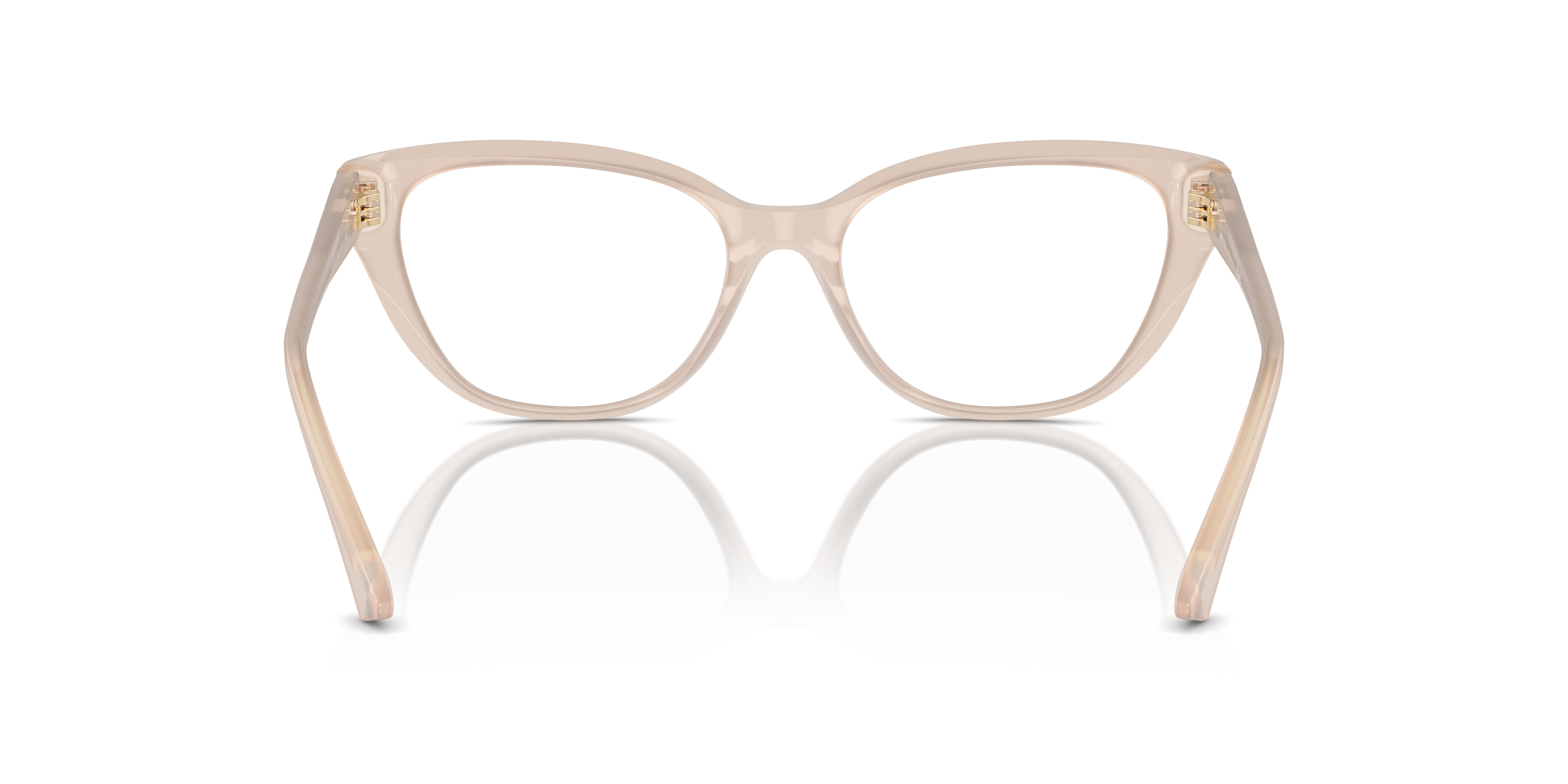 JIMMY CHOO JC3011 5025 54