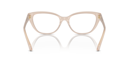 JIMMY CHOO JC3011 5025 54