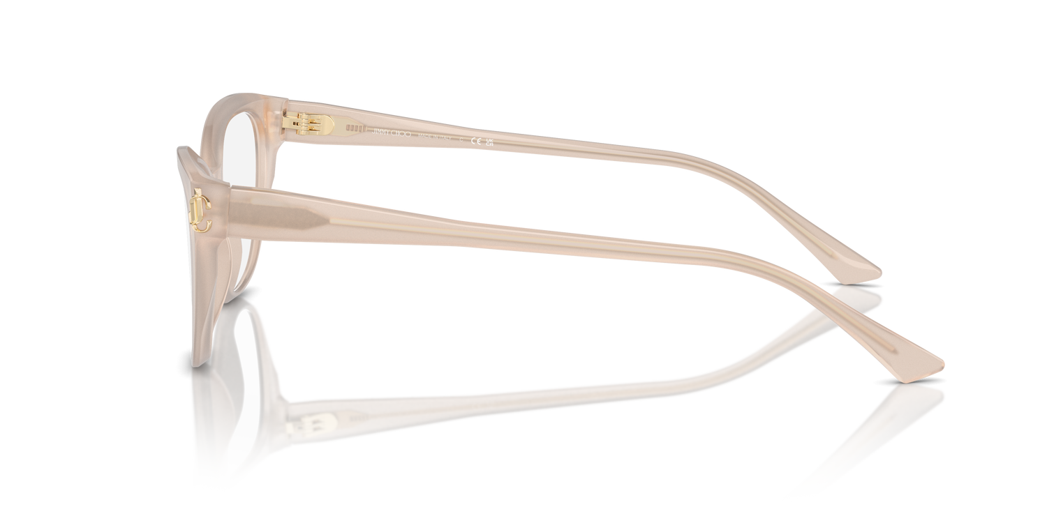 JIMMY CHOO JC3011 5025 54