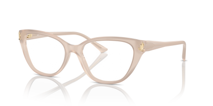 JIMMY CHOO JC3011 5025 52