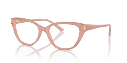 JIMMY CHOO JC3011 5027 52