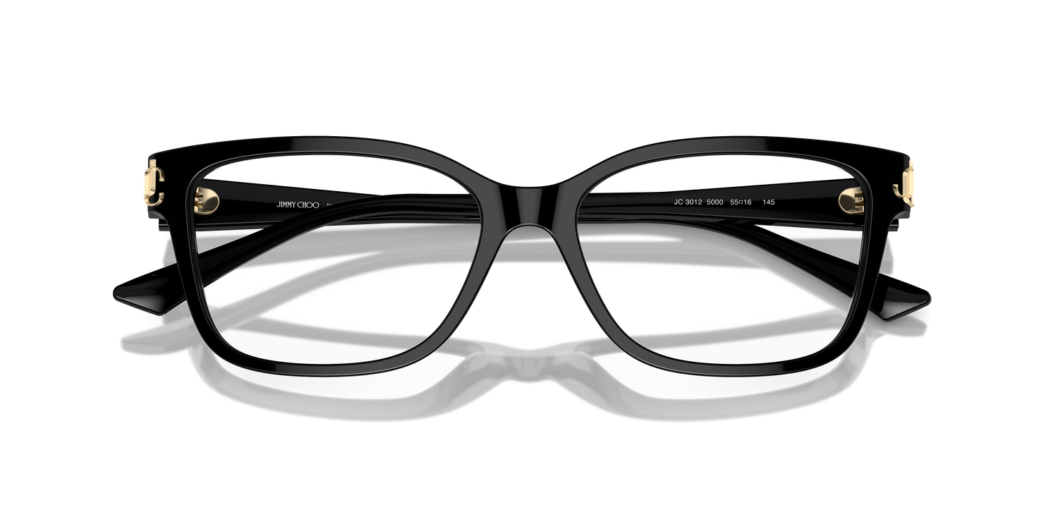 JIMMY CHOO JC3012 5000 53