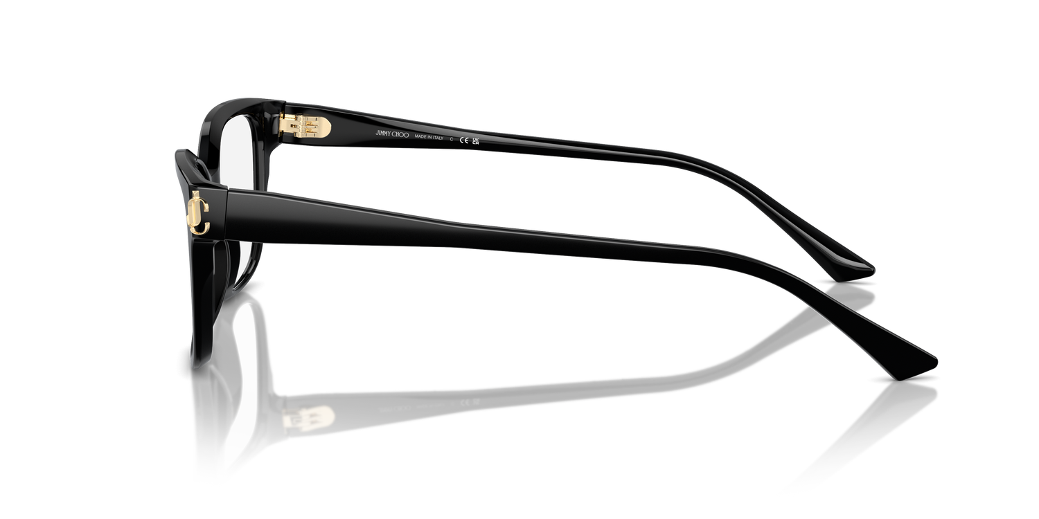 JIMMY CHOO JC3012 5000 55