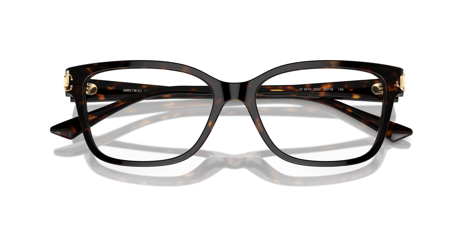 JIMMY CHOO JC3012 5002 53