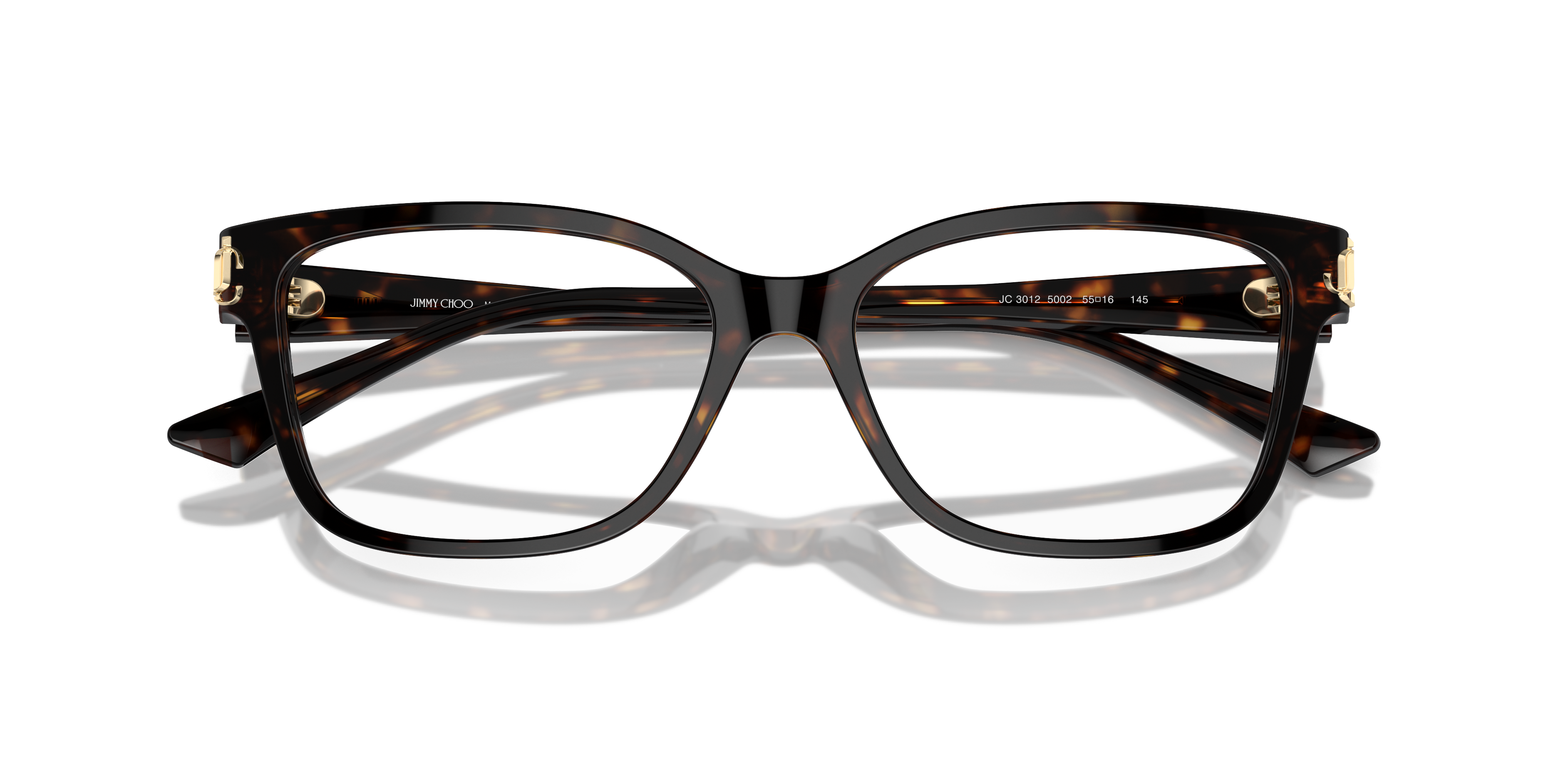 JIMMY CHOO JC3012 5002 53