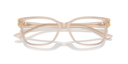 JIMMY CHOO JC3012 5025 55