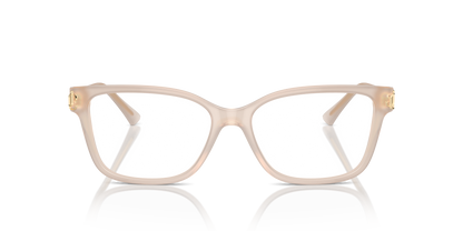 JIMMY CHOO JC3012 5025 55