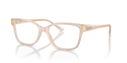 JIMMY CHOO JC3012 5025 53