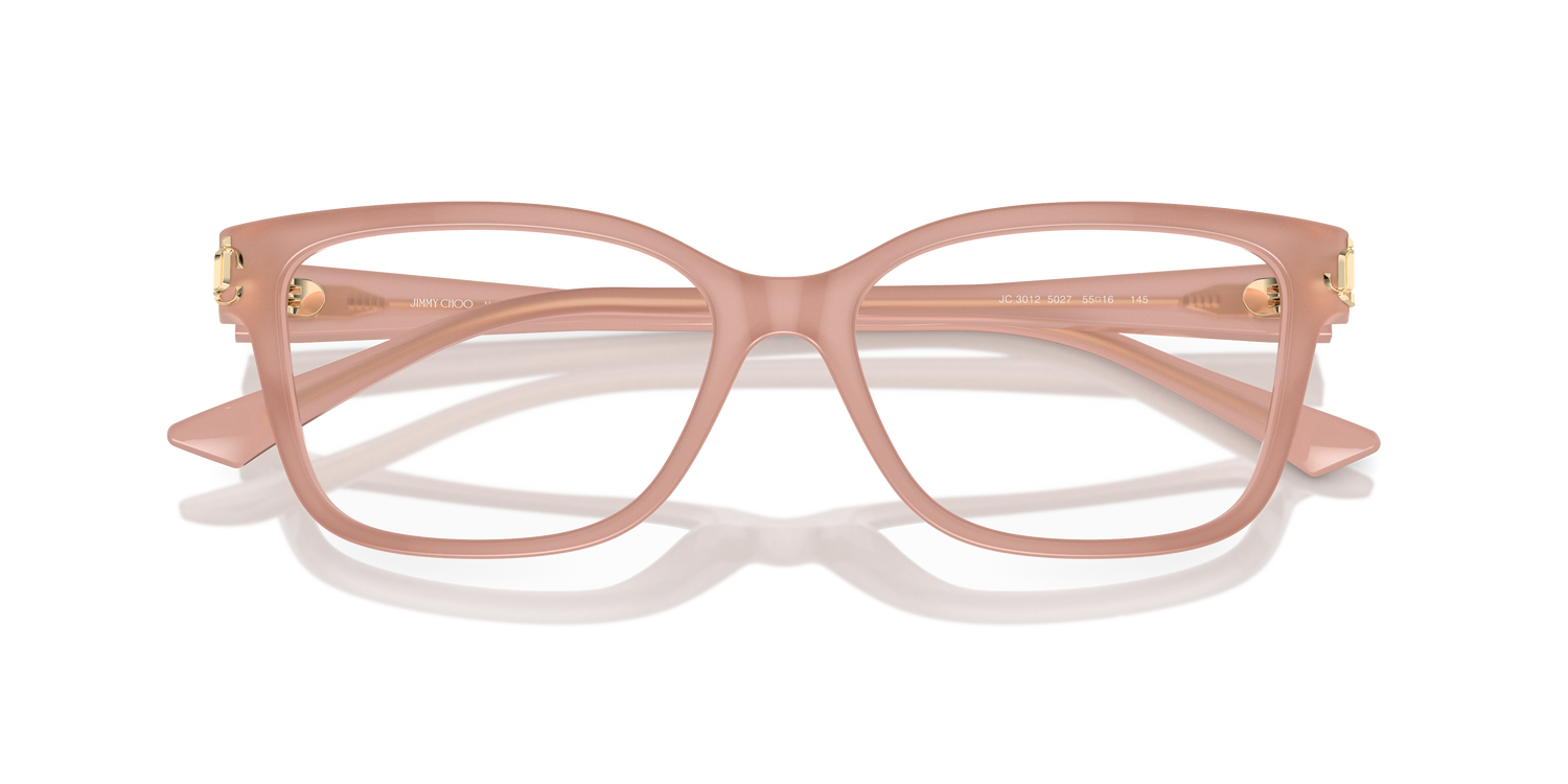 JIMMY CHOO JC3012 5027 55