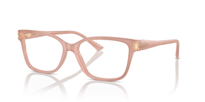 JIMMY CHOO JC3012 5027 55