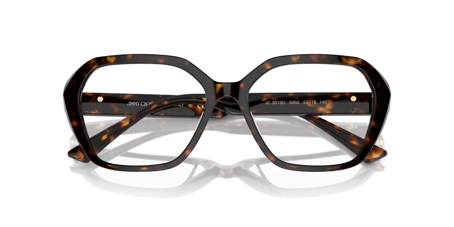 JIMMY CHOO JC3013U 5002 55