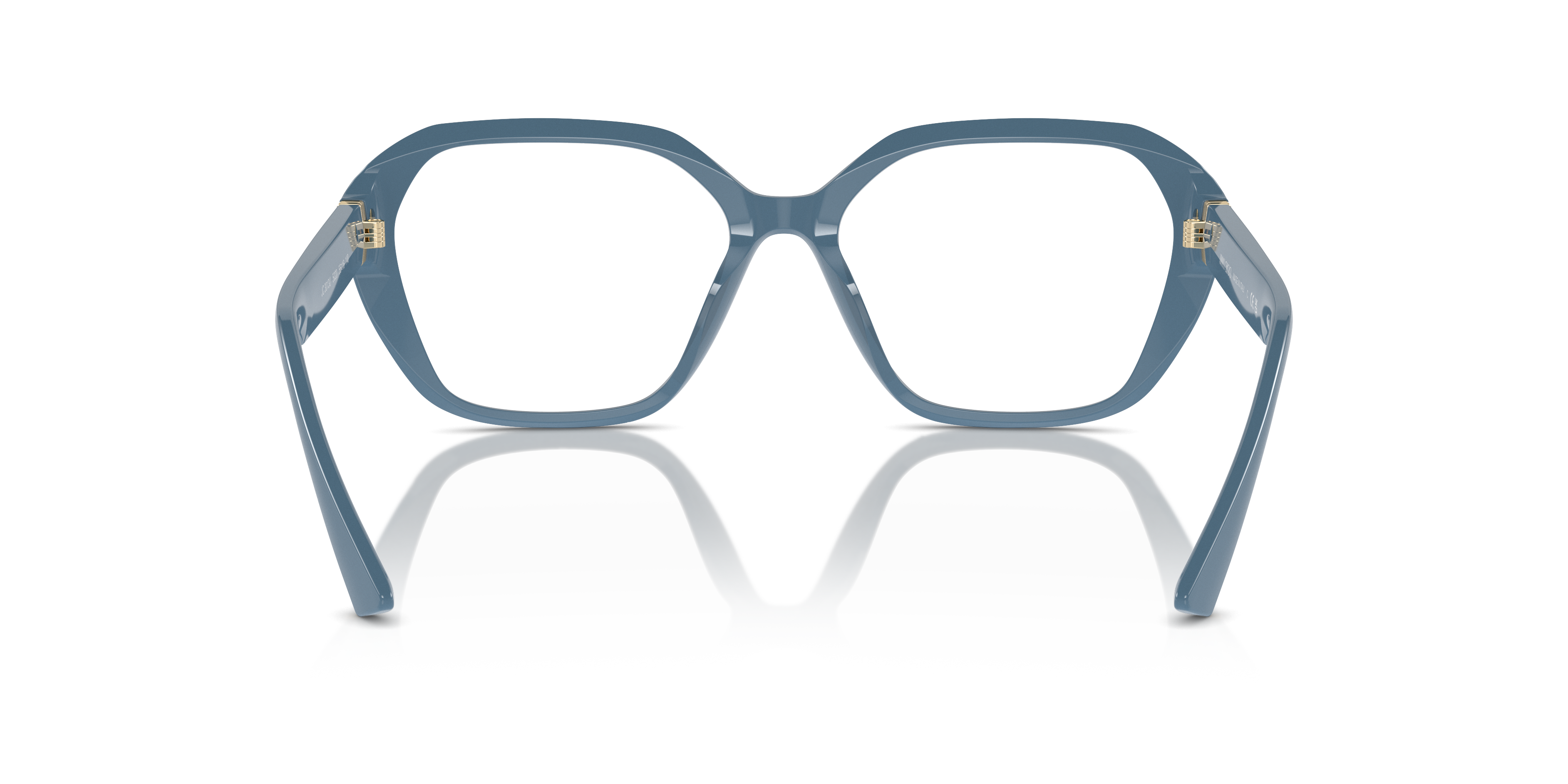 JIMMY CHOO JC3013U 5020 55