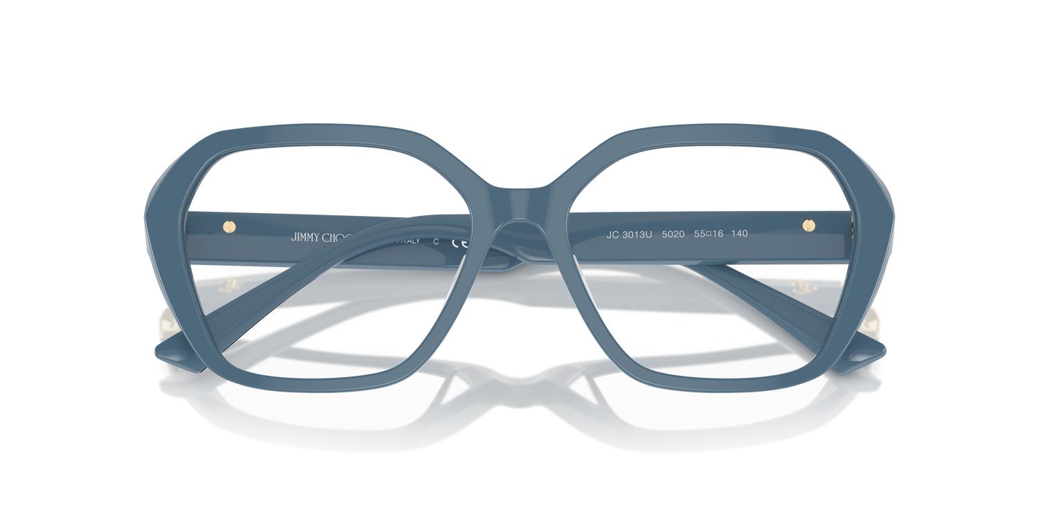 JIMMY CHOO JC3013U 5020 53