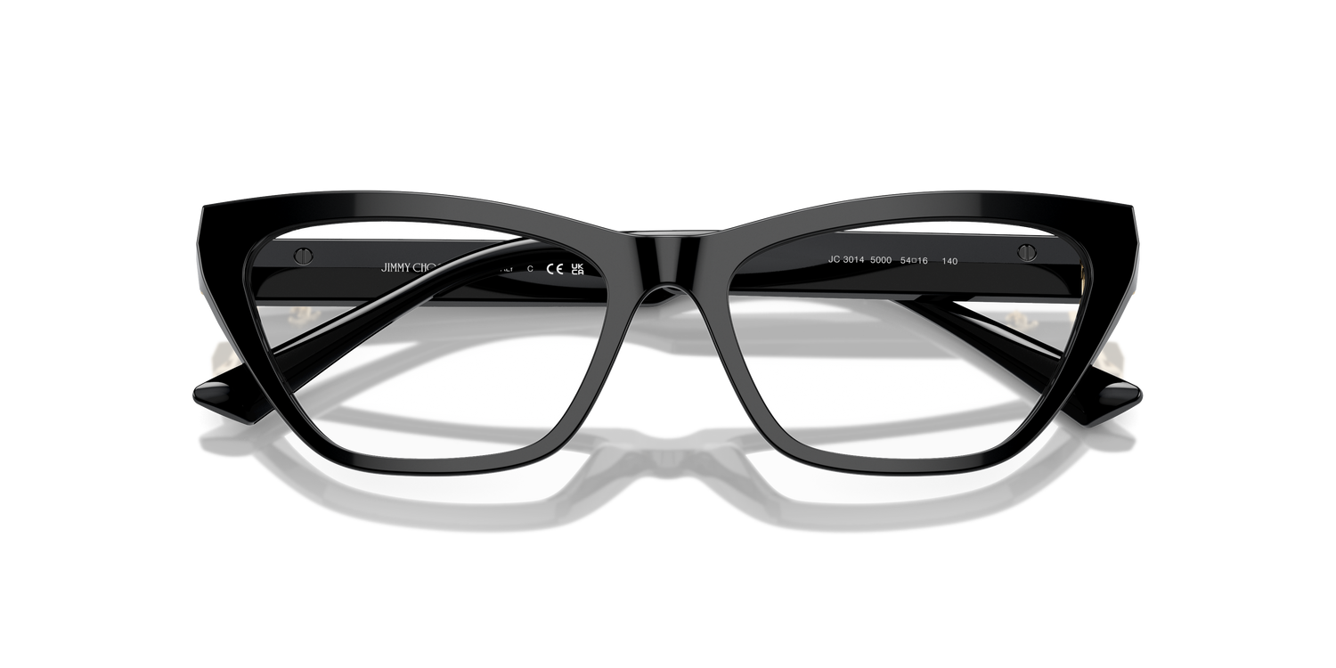 JIMMY CHOO JC3014 5000 54