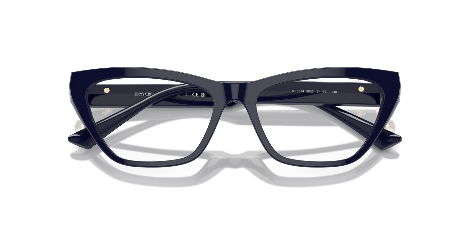 JIMMY CHOO JC3014 5023 54