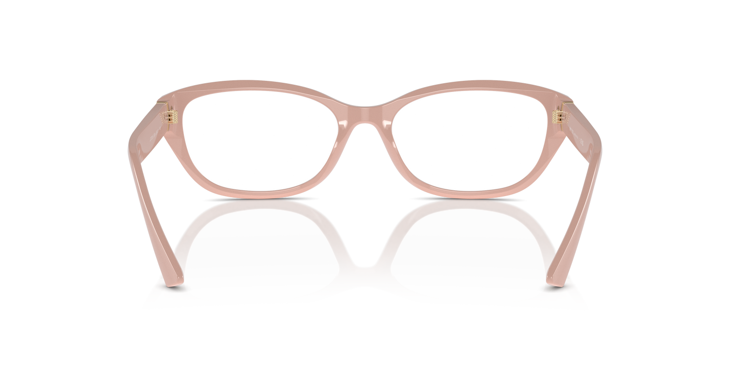 JIMMY CHOO JC3015 5014 55