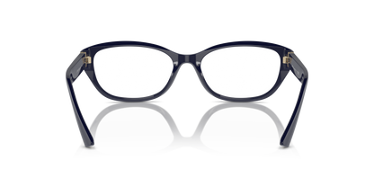 JIMMY CHOO JC3015 5023 55