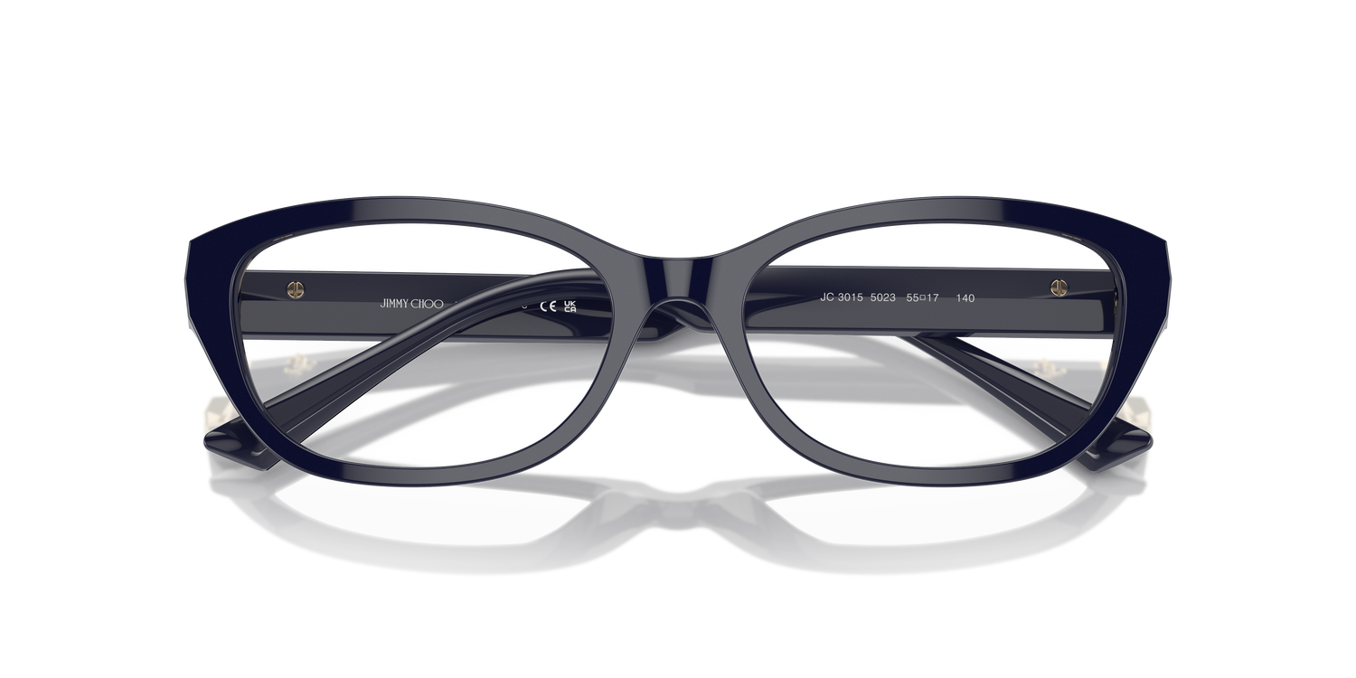 JIMMY CHOO JC3015 5023 55