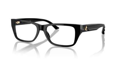 JIMMY CHOO JC3016 5000 54