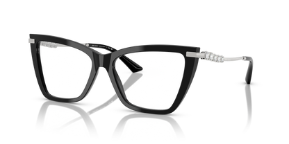 JIMMY CHOO JC3020B 5000 55