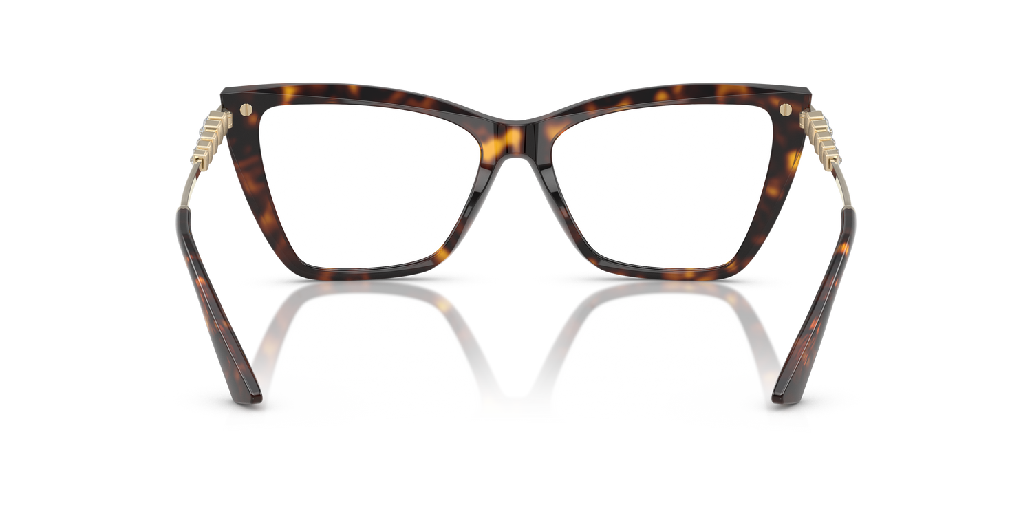 JIMMY CHOO JC3020B 5002 55