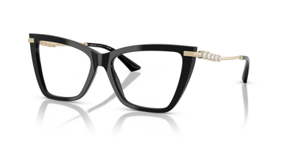 JIMMY CHOO JC3020B 5017 53