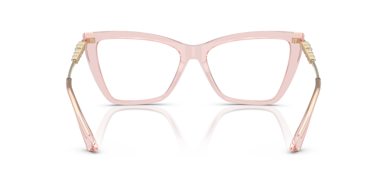 JIMMY CHOO JC3020B 5034 55