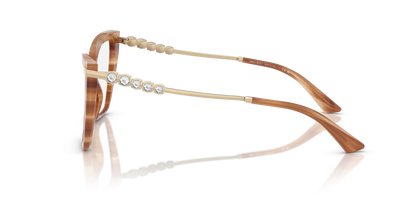 JIMMY CHOO JC3020B 5055 55